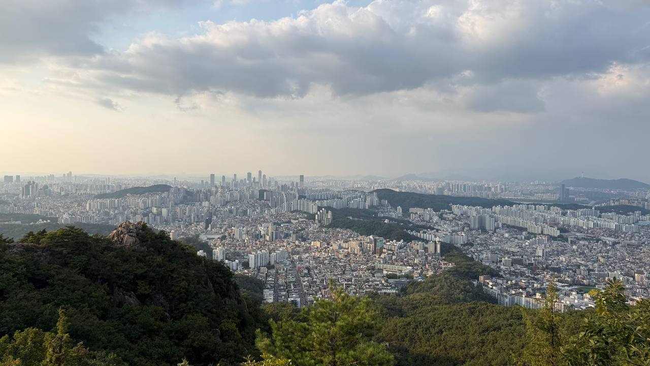 서울메아리 활동 사진