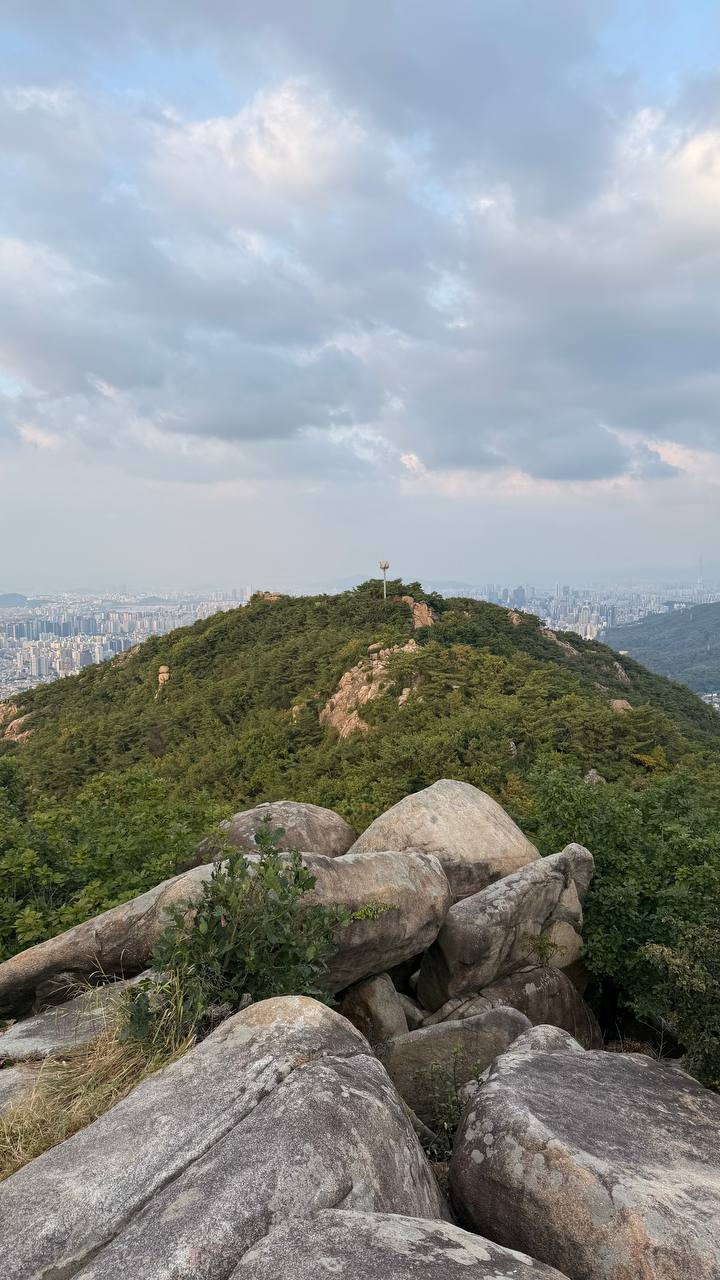서울메아리 활동 사진
