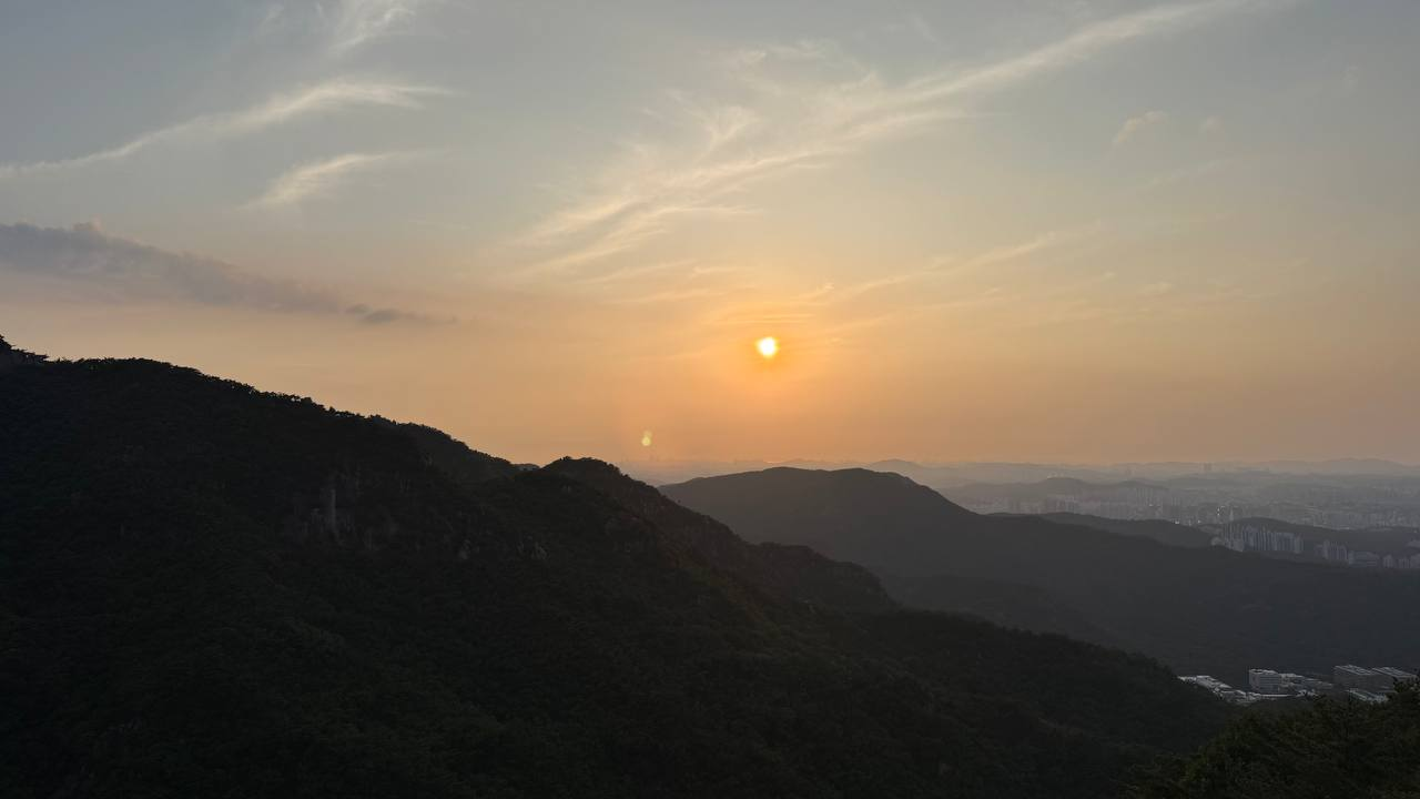 서울메아리 활동 사진